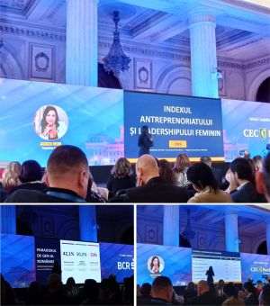 PEFA Index: Women entrepreneurs generate a quarter of Romania's GDP